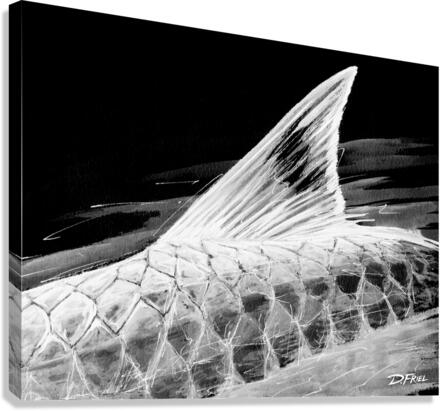 Converge Tarpon No3 