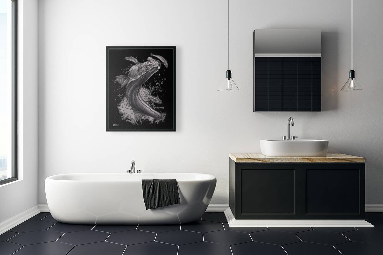 Silver Snook  Reproduction