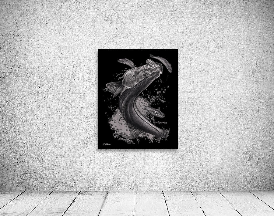 Silver Snook  Wall Preview