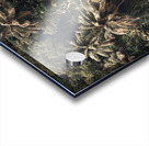 Coconut_Jungle Acrylic print