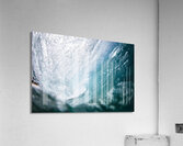 Blue_toonz Acrylic Print