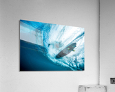 Underneath_it_all Acrylic Print