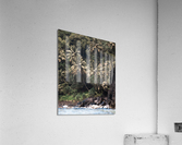 Coconut_Jungle Acrylic Print