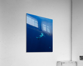 Deepblue Acrylic Print