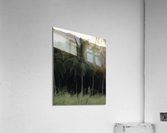 Sunset_Palm Acrylic Print
