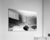 Small_School Acrylic Print