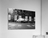 Overgrown Acrylic Print