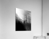 Jay_Abstract Acrylic Print