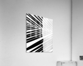 Palm_Ridge_DoubleEx Acrylic Print