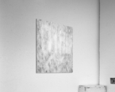 Abstract_Fish Acrylic Print
