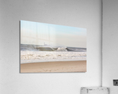LI_Gold Acrylic Print