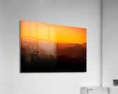 Gold_Rush Acrylic Print
