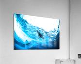 Drive_by Acrylic Print