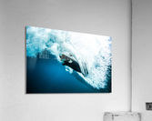 Fin_Box Acrylic Print