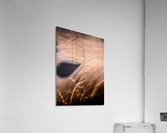 Goosebumps Acrylic Print