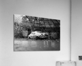 Overgrown Acrylic Print
