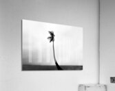 Tropical storm Acrylic Print