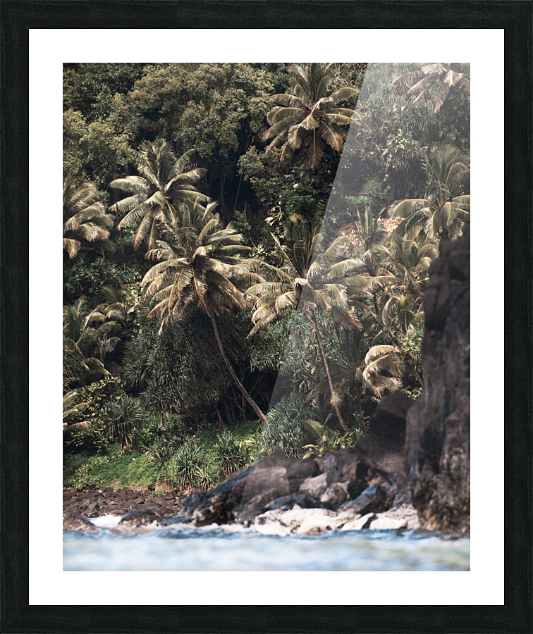 Coconut_Jungle Picture Frame print