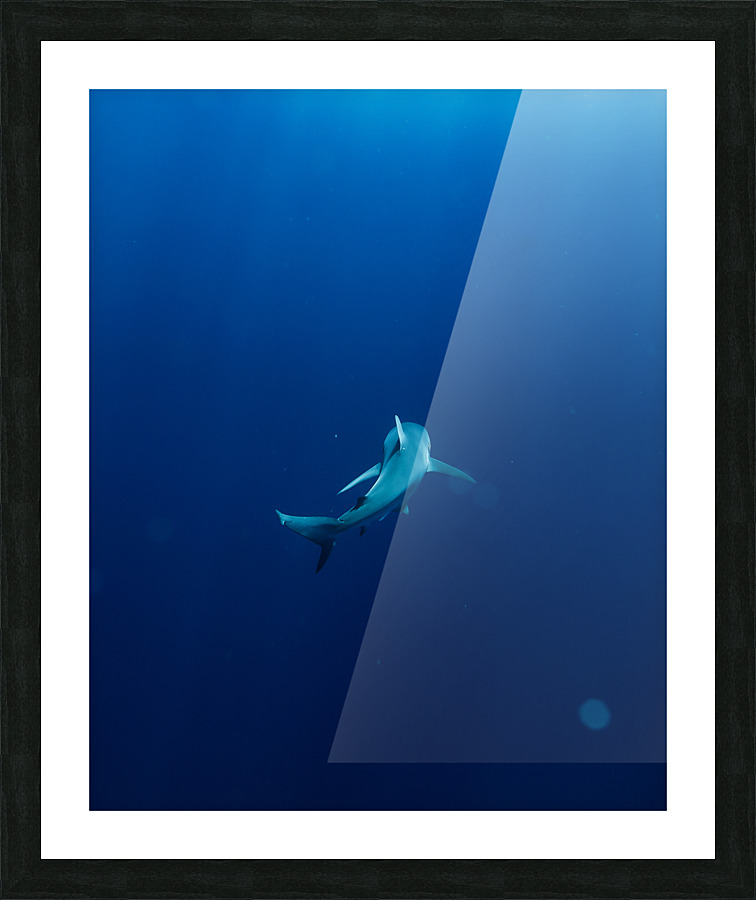 Deepblue Picture Frame print