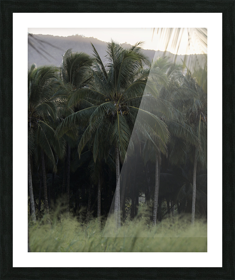 Sunset_Palm Picture Frame print