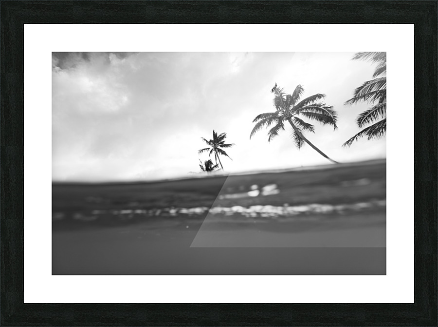 Half_full Picture Frame print