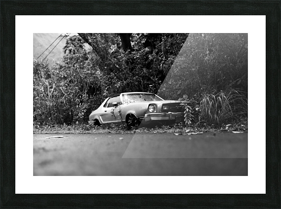Overgrown Picture Frame print