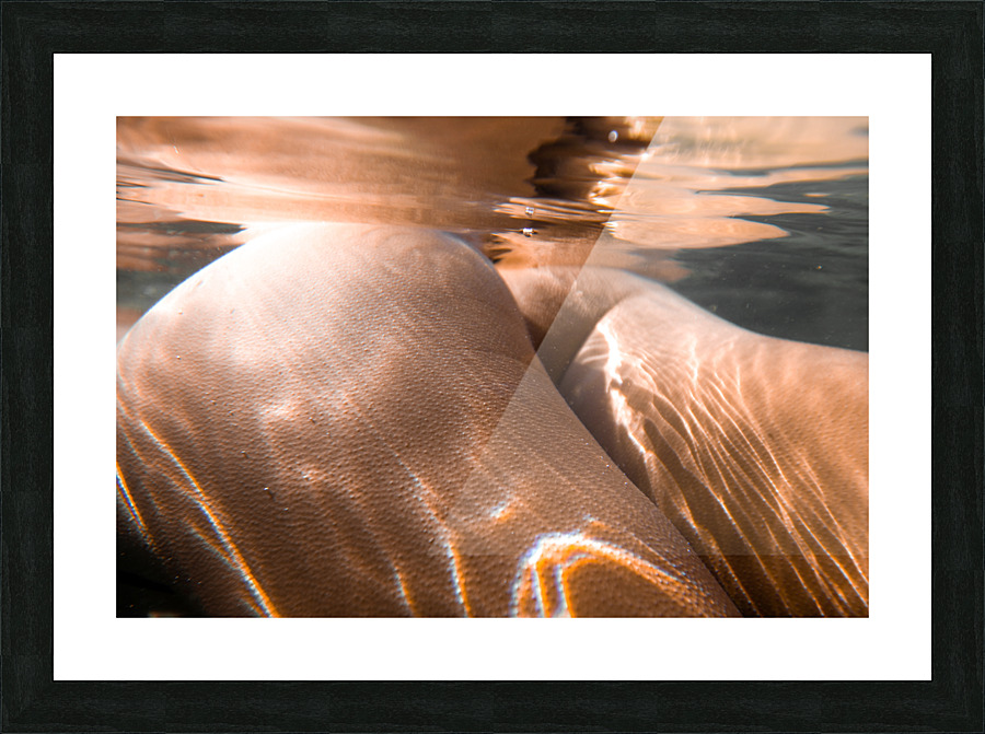 Reflections Picture Frame print