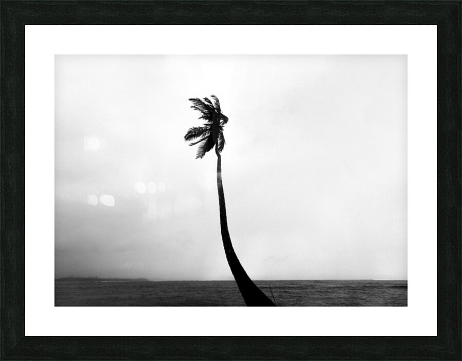 Tropical storm Picture Frame print