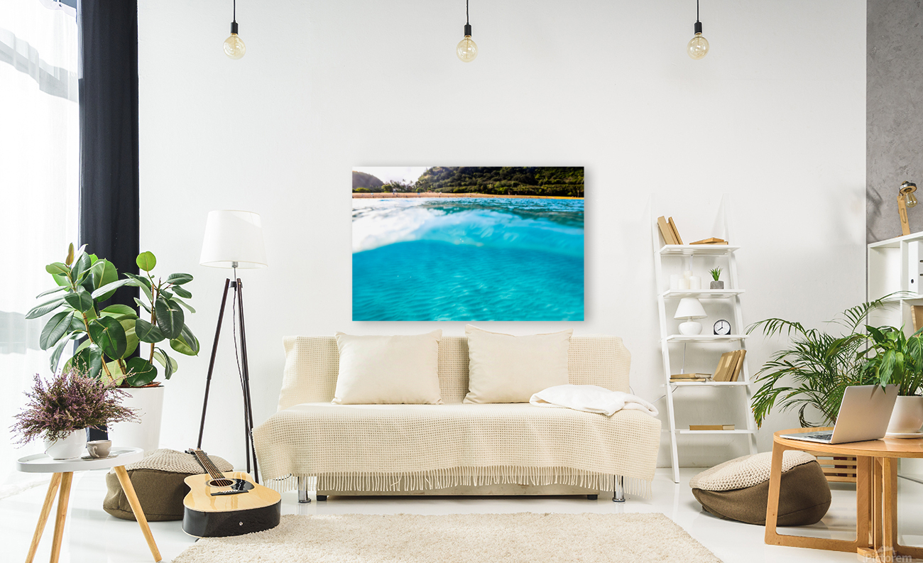 Waimea_Bay Reproduction