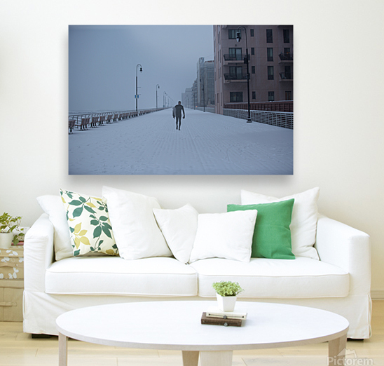 Snow_Day Reproduction