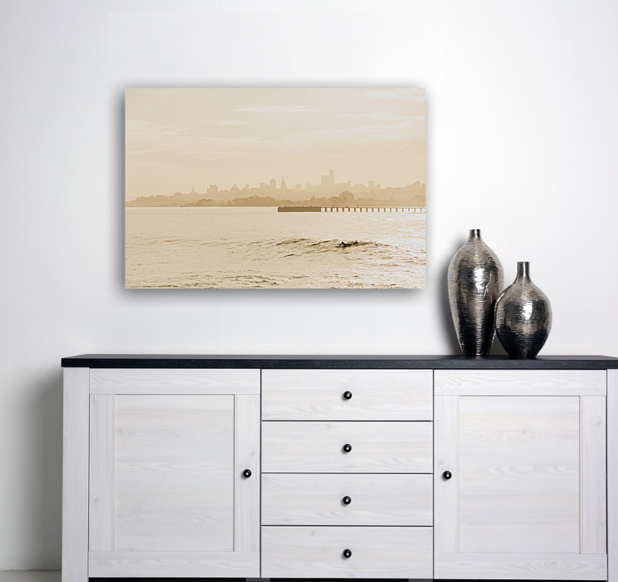 Skyline_surfer Reproduction