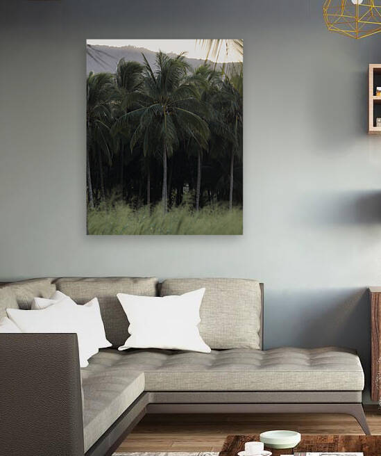 Sunset_Palm Reproduction