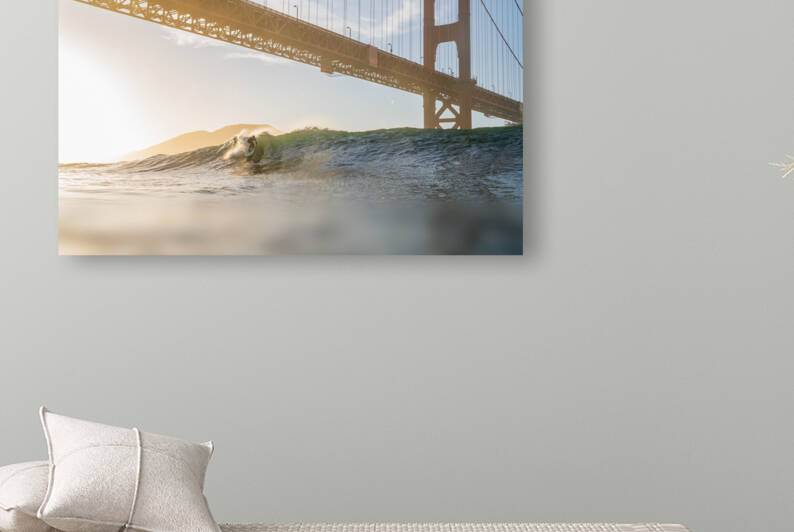 Golden_Gate Reproduction