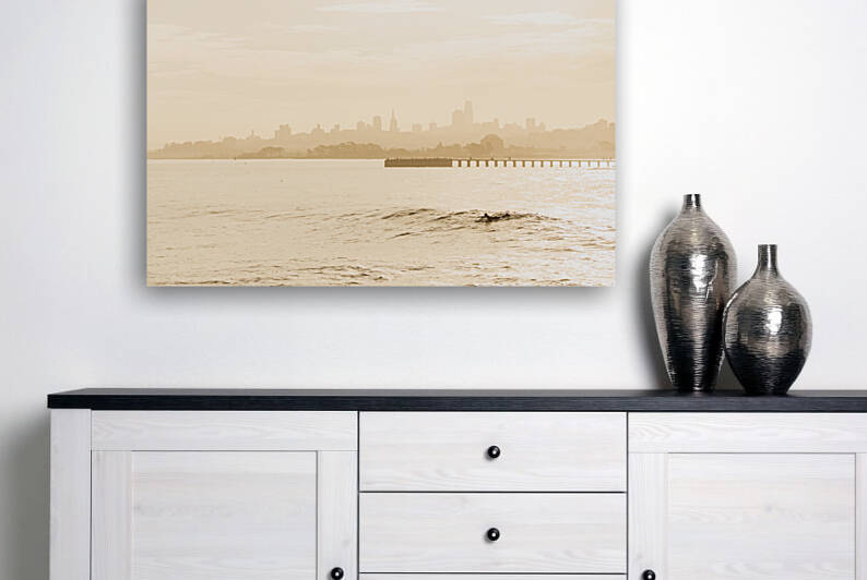 Skyline_surfer Reproduction