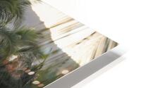 Sunset_Palm HD Metal print