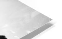 Abstract_Ridge HD Metal print