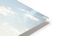 Li_Gold HD Metal print