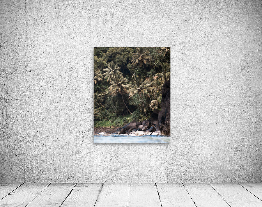 Coconut_Jungle Wall Preview