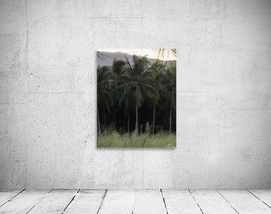 Sunset_Palm Wall Preview