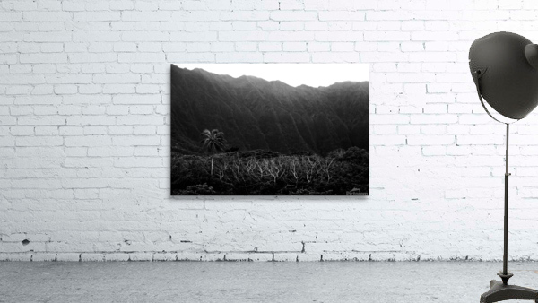 Layers Wall Preview