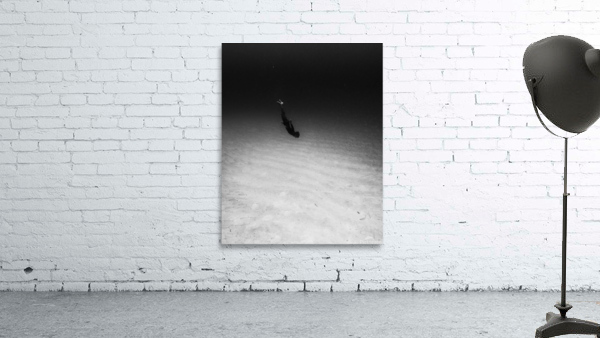 All_Alone Wall Preview