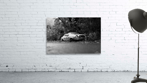 Overgrown Wall Preview