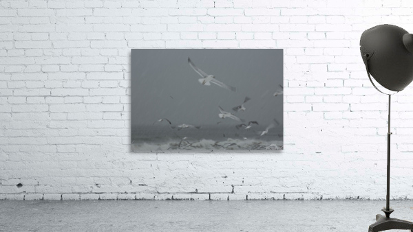 Seagulls Wall Preview