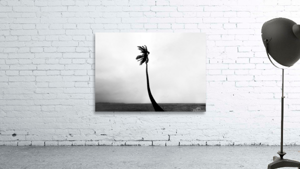 Tropical storm Wall Preview