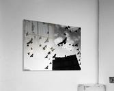 Be Fly Acrylic Print