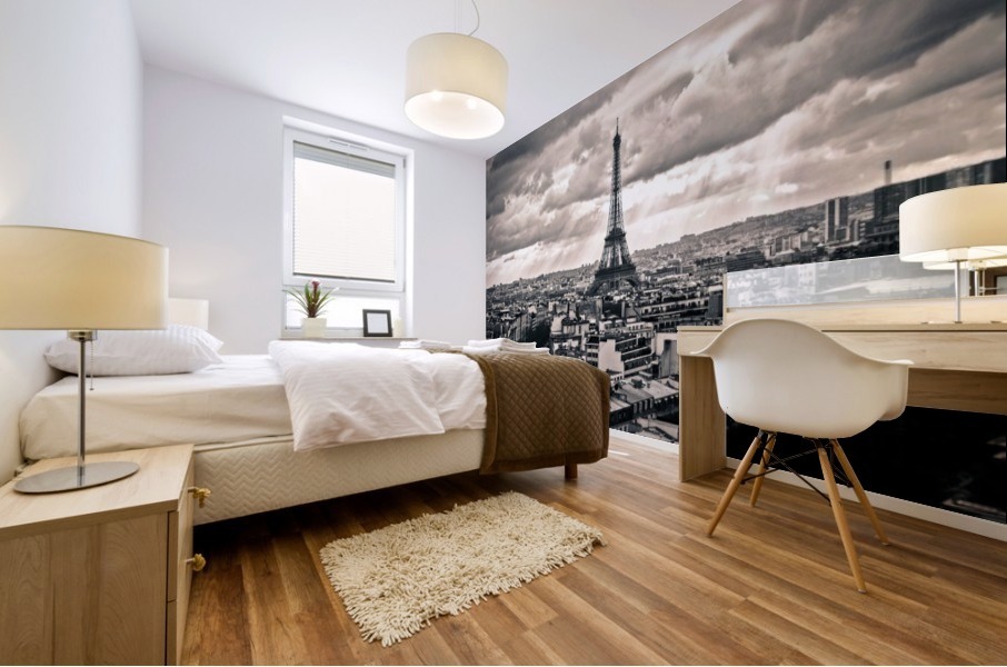 Paris Mural print