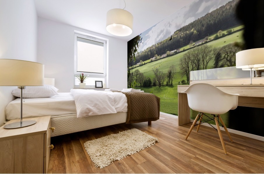 Ireland Mural print