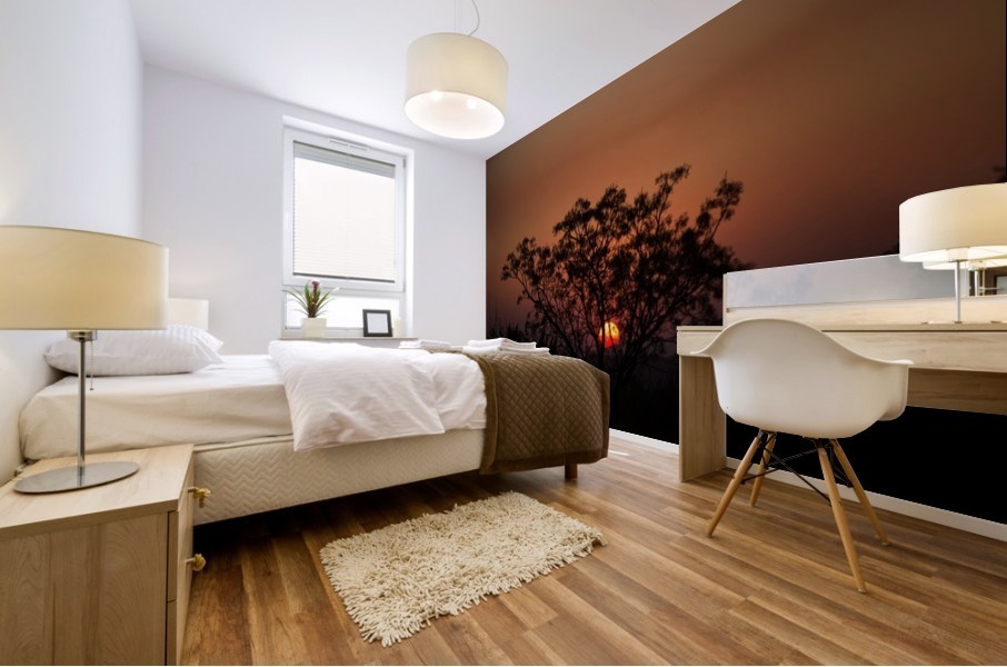 South African Sunset Mural print