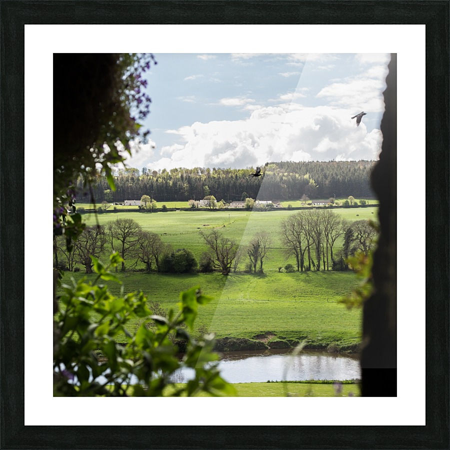 Ireland Picture Frame print