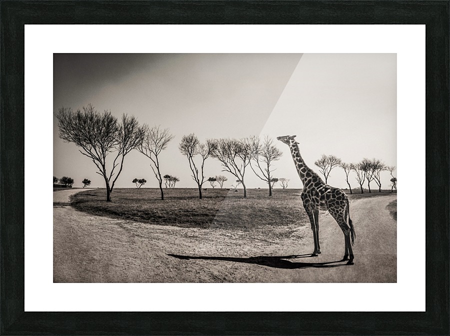  Tirage d’art